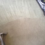 Carpet-Cleaning-Pacifica