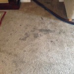 Dirty-Carpet-Pacifica-CA