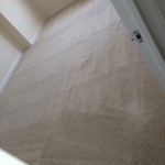 Pacifica-Carpet-Clean-room
