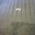 Pacifica-Carpet-Cleaning-Carpet-Cleaning