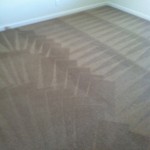 Pacifica-Carpet-Cleaning-Wall-To-Wall