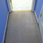 Pacifica-Vomit-2-after-carpet
